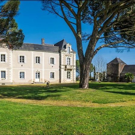 Vignoble Chateau Piegue - Winery Rochefort-sur-Loire ภายนอก รูปภาพ
